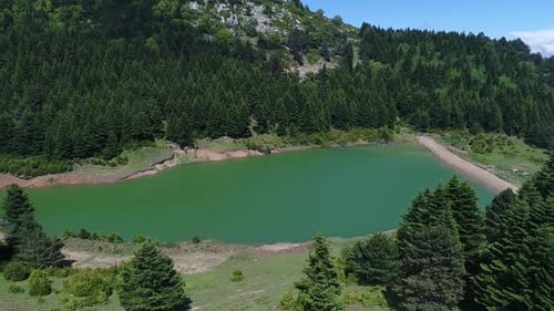 Lake among pine forest.