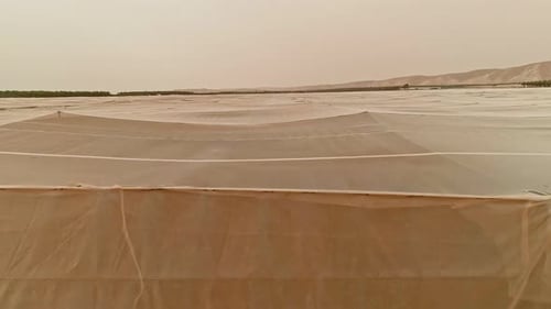Aerial View of Large Farm Covered in Netting