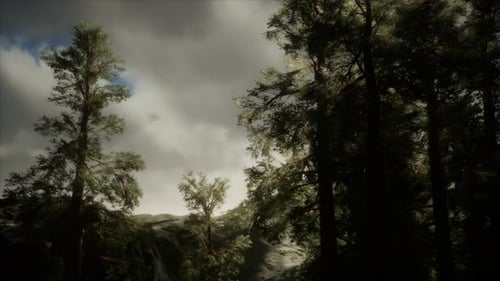 Fog and Pine Trees on Rugged Mountainside and Coming Storm