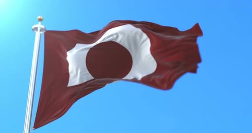 Waving Abstract Flag with Circular Design Animation