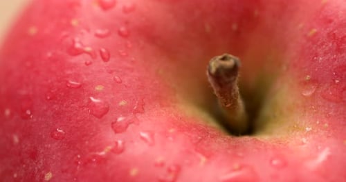 Red Apple Nahaufnahme