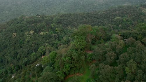 Fliegen Sie über eine dichte tropische Wald-Naturlandschaft in den Bergen Thailands