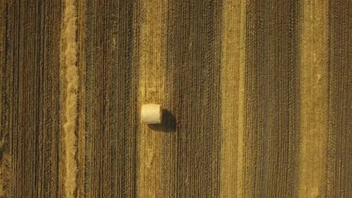 Top view of Hay bale, Zoom out. Aerial drone shot