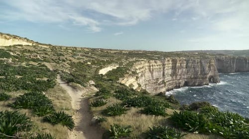 Plants Growing on Cliffs of Flo Azure Window near Mediterranean Sea in Malta
