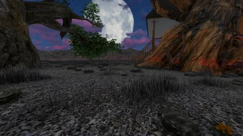 Home garden at night