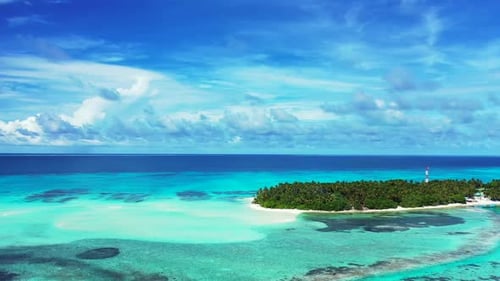 Aerial drone shot travel of paradise tourist beach wildlife by aqua blue water with white sand backg