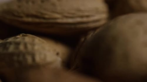 Macro Footage of Assorted Nuts in Shell
