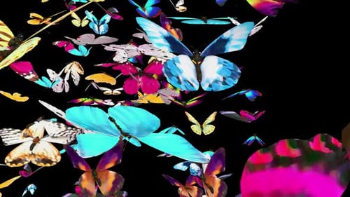 02 Schmetterling HD