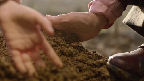 Hands Touching Soil Together in the Sunlight