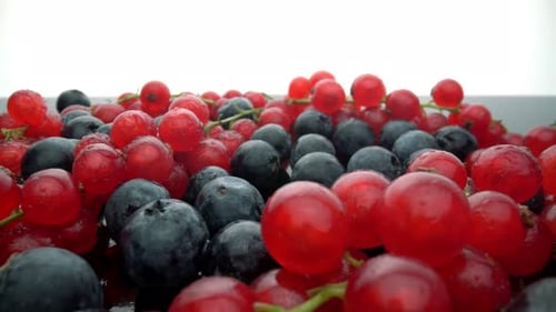 Vibrant Close-Up of Fresh Red Currants and Blueberries