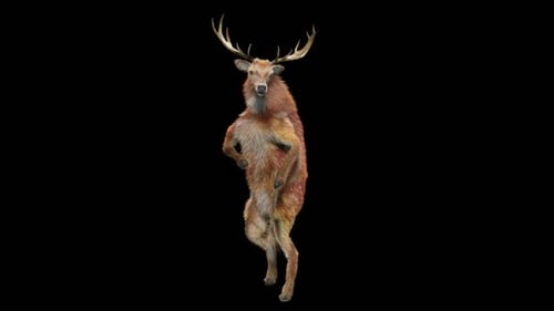 Animated 3D Deer Dancing with Antlers on Hind Legs
