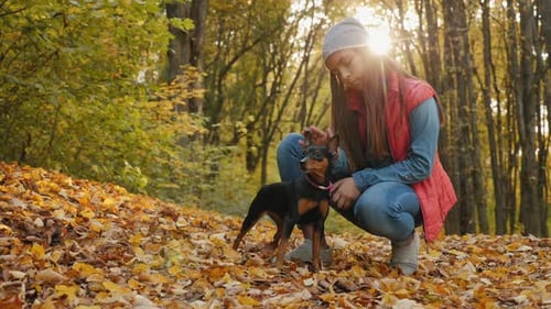 A Girl Petting Her Dog in the Autumn Park