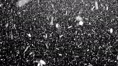 Abstract Falling Particles Dynamic Motion Overlay