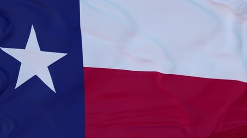 Waving Flag of Texas with Realistic Fabric Texture