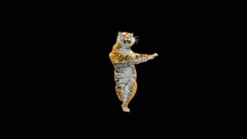Tiger Tanzen 4K
