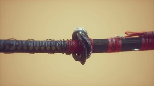 Asiatisches Katana mit Ornament Sward auf hellem Hintergrund