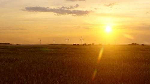 Wind Turbines and Sunset Views