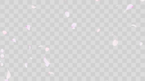 Cherry Blossom Floating