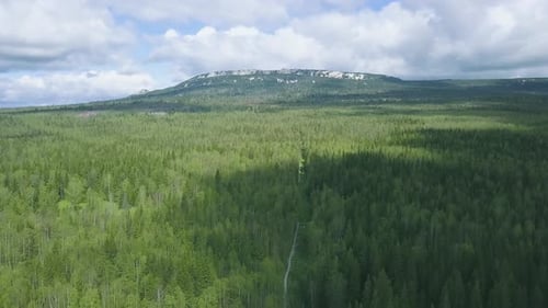 Aerial View of Vast Green Forest and Mountains