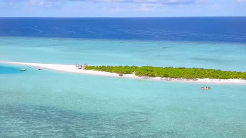 Aerial scenery of resort beach wildlife by blue water with sand background