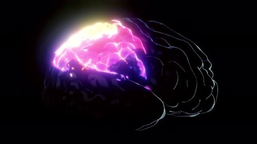 Rotating Brain With Neural Network Iridescent Impulses Showing Brainstorming Neuronal Activity 4k