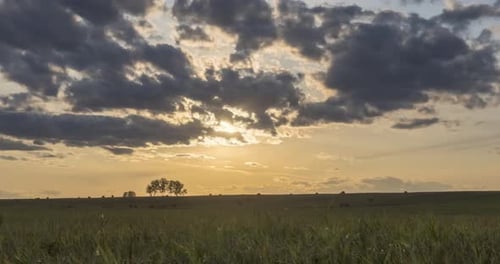 Flat Hill Meadow Timelapse at the Summer Sunset Time. Wild Nature and Rural Field. Sun Rays, Trees