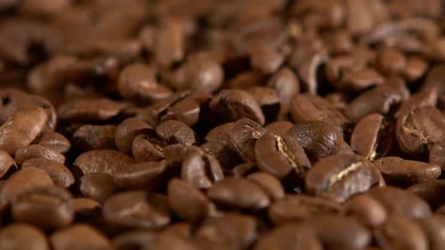 Brown, Roasted Coffee Beans, Close Up, Rotation, Background