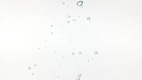 Lime Slices Falling into Water