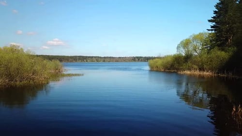 Aerial View of Lake Surrounded by Green Trees