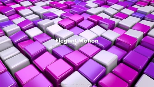Edle Würfel Motion 6