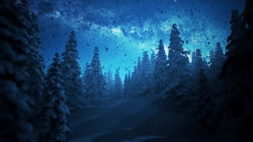 Chutes de neige dans la forêt la nuit