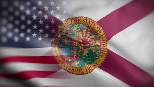 Waving US and Florida State Flags Animation