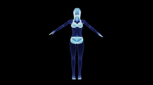 3D Holographic Female Body Scan Digital Wireframe