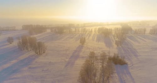 Aerial Drone View of Cold Winter Landscape with Arctic Field Trees Covered with Frost Snow