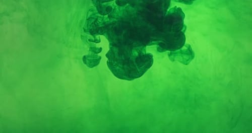 Green Color Paint Ink Drops in Water at White Background. Inky Cloud Flowing Underwater. Abstract