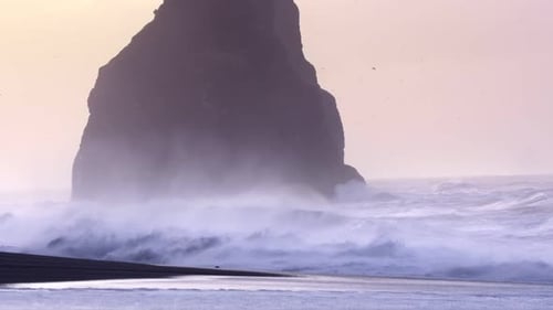 Ocean