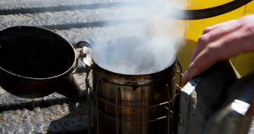 Beekeeper preparing smoker for harvesting in apiary