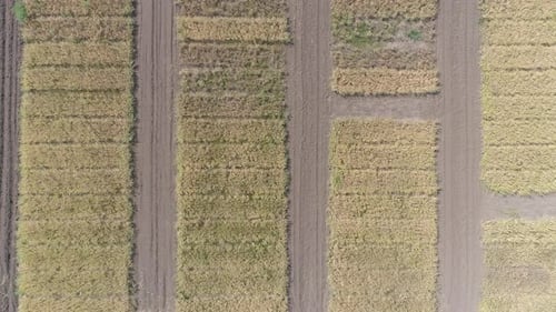 Aerial view of dry fields