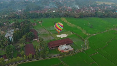 Aerial Shot of a Hot Air Balloon That Is Flying Over the Big Green Rice Field. Travell To Bali