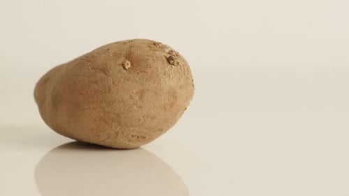 Close up of Potato on White Background