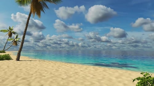 Rest on a tropical island among the palm trees.