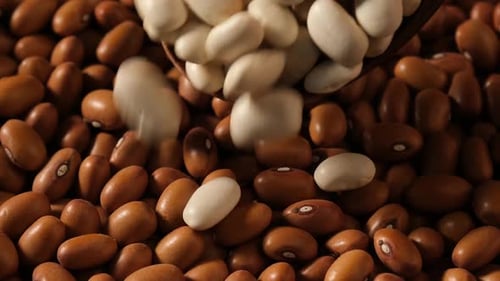 Brown Beans and White Beans Mix Close-Up Shot