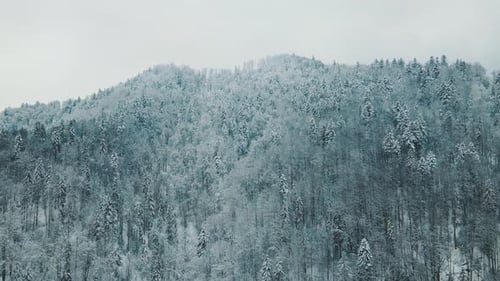 Beautiful Landscape of Winter Mountains and Snowcovered Trees