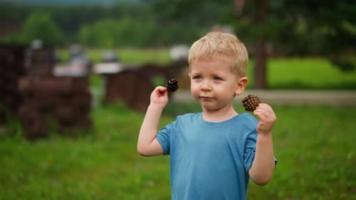 Little Boy Shows Dry Pine Cones Standing on Playground
