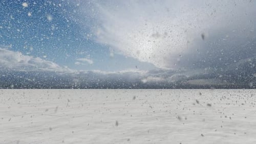 Snowfall In Daylight