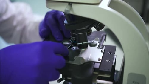 Medical Research Scientist Putting Glass Slide and Looking at Sample Under Microscope Spbd