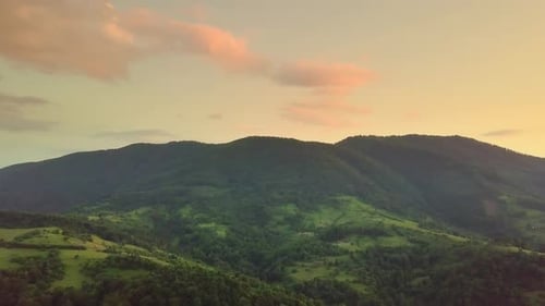 Aerial View of the Endless Lush Pastures of the Carpathian Expanses and Agricultural Land