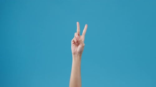 Woman hand counting from 1 to 5 with finger isolated over blue background in studio.