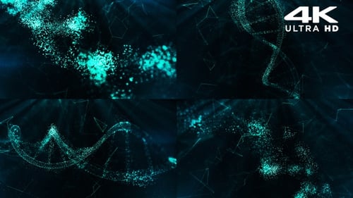 DNA-Partikel