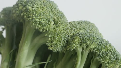 Slow tilt on organic Brassica oleracea 4K 2160p 30fps UltraHD footage - Green broccoli floret close-